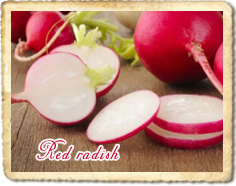 Apple And Radish Salad