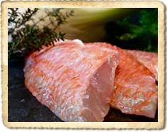 Red Mullet With Fennel