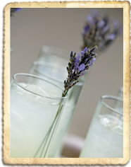 Lavender Lemonade