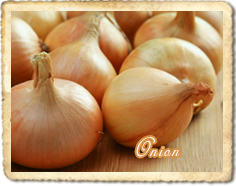 Onion